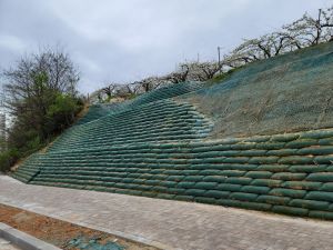 전주 견훤로 공사